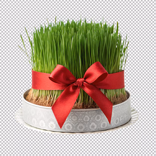 Beautiful Nowruz Decoration